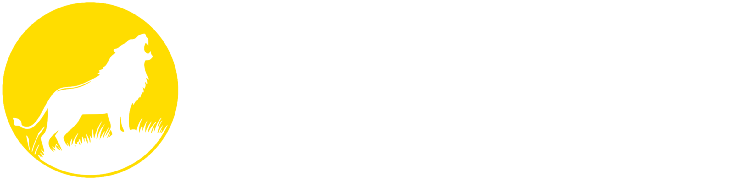 Exploits Travel