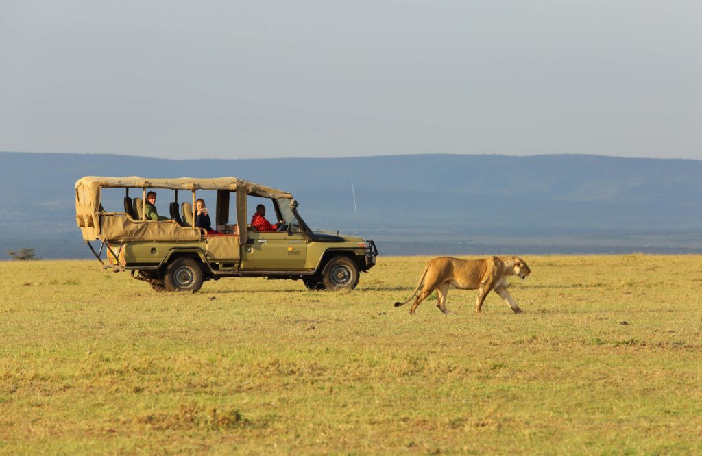 Game drive in Masai Mara