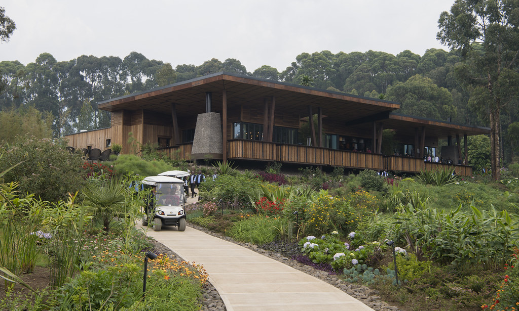 One & Only Gorilla's Nest