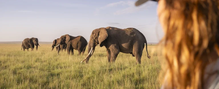 10 Days Kenya Wildlife and Beach Safari