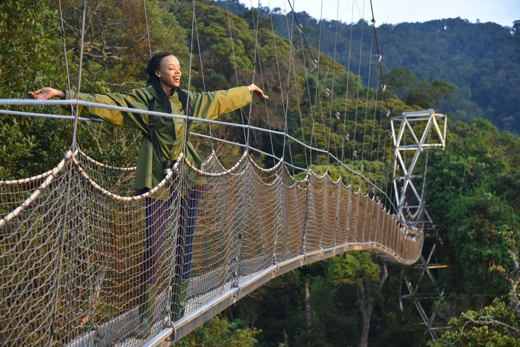 Canopy Walkway in Nyungwe National Park