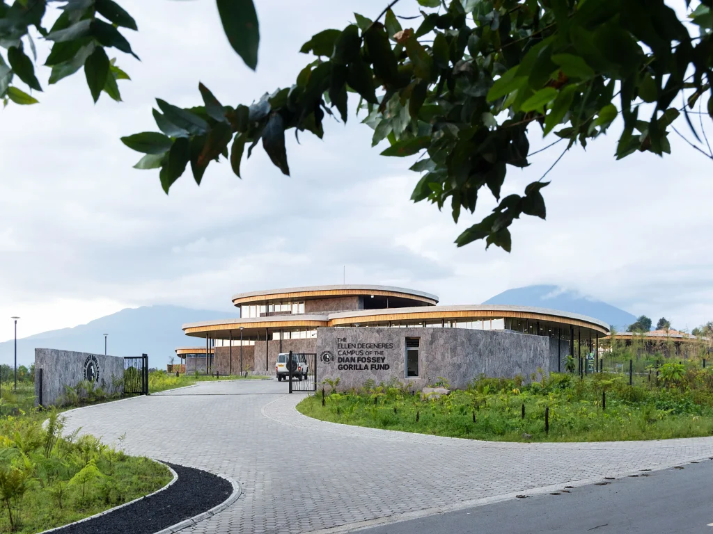 Ellen DeGeneres' Gorilla Campus