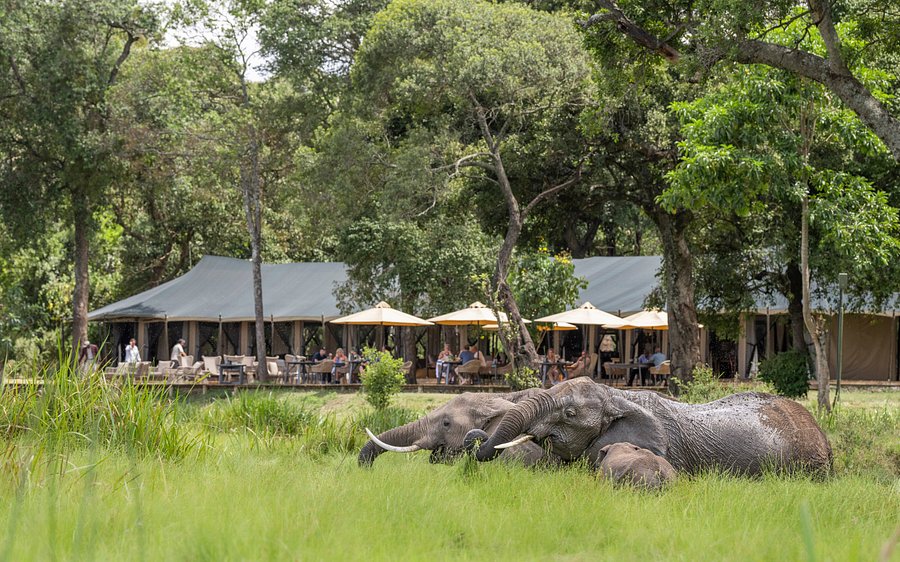 Governors’ Camp Kenya
