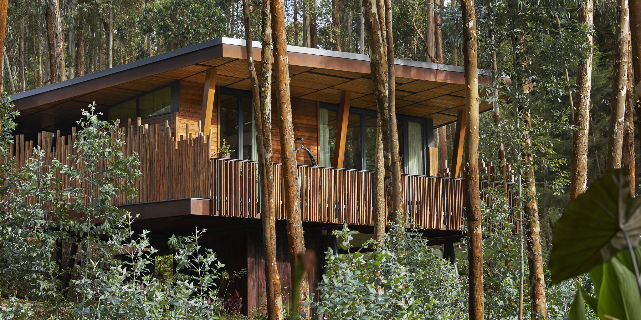 One&Only Gorilla's Nest exterior view