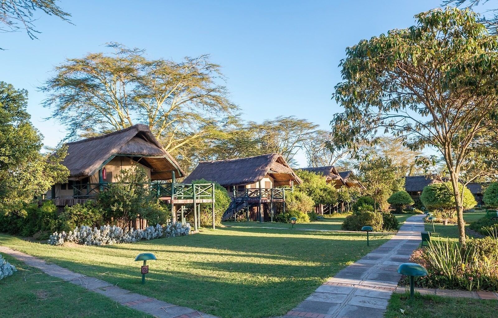 Serena Sweetwaters Camp