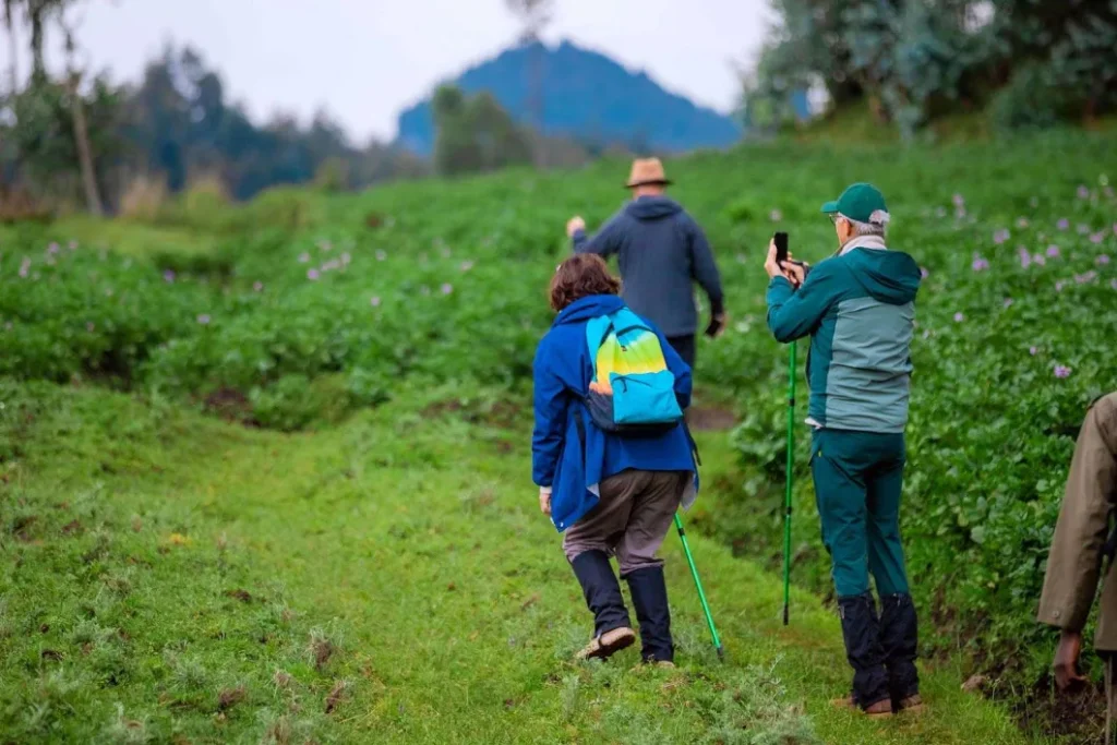 What to wear for gorilla trekking