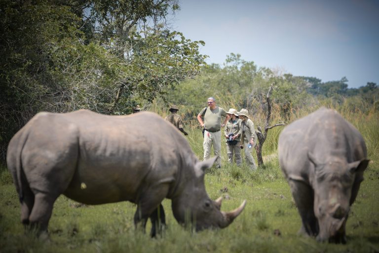 1 Day Rhino Tracking Safari