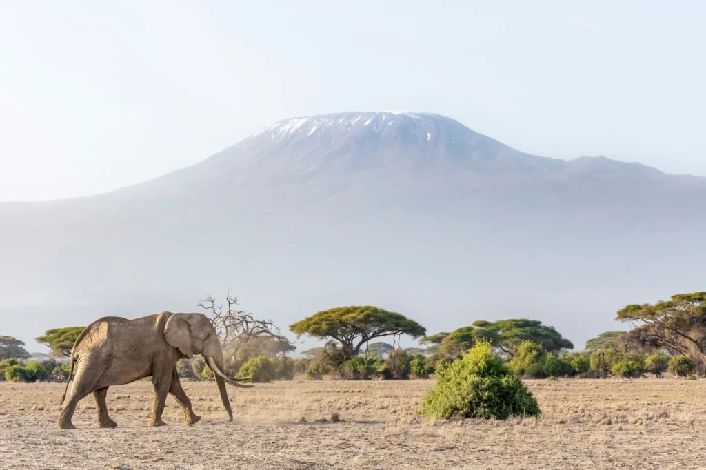 Amboseli National Park