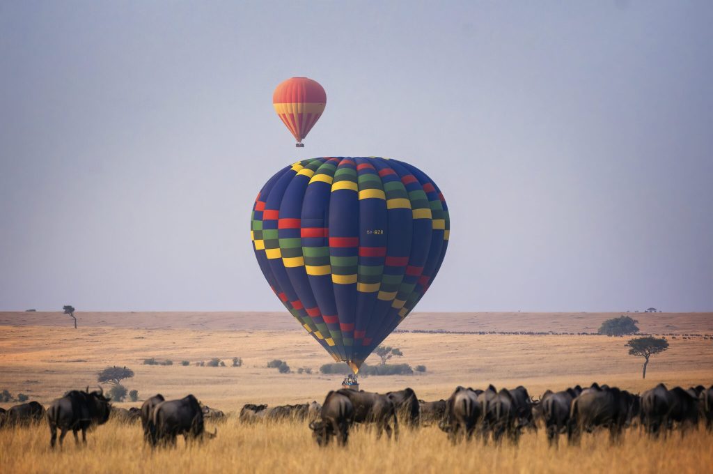 Masai Mara National Reserve