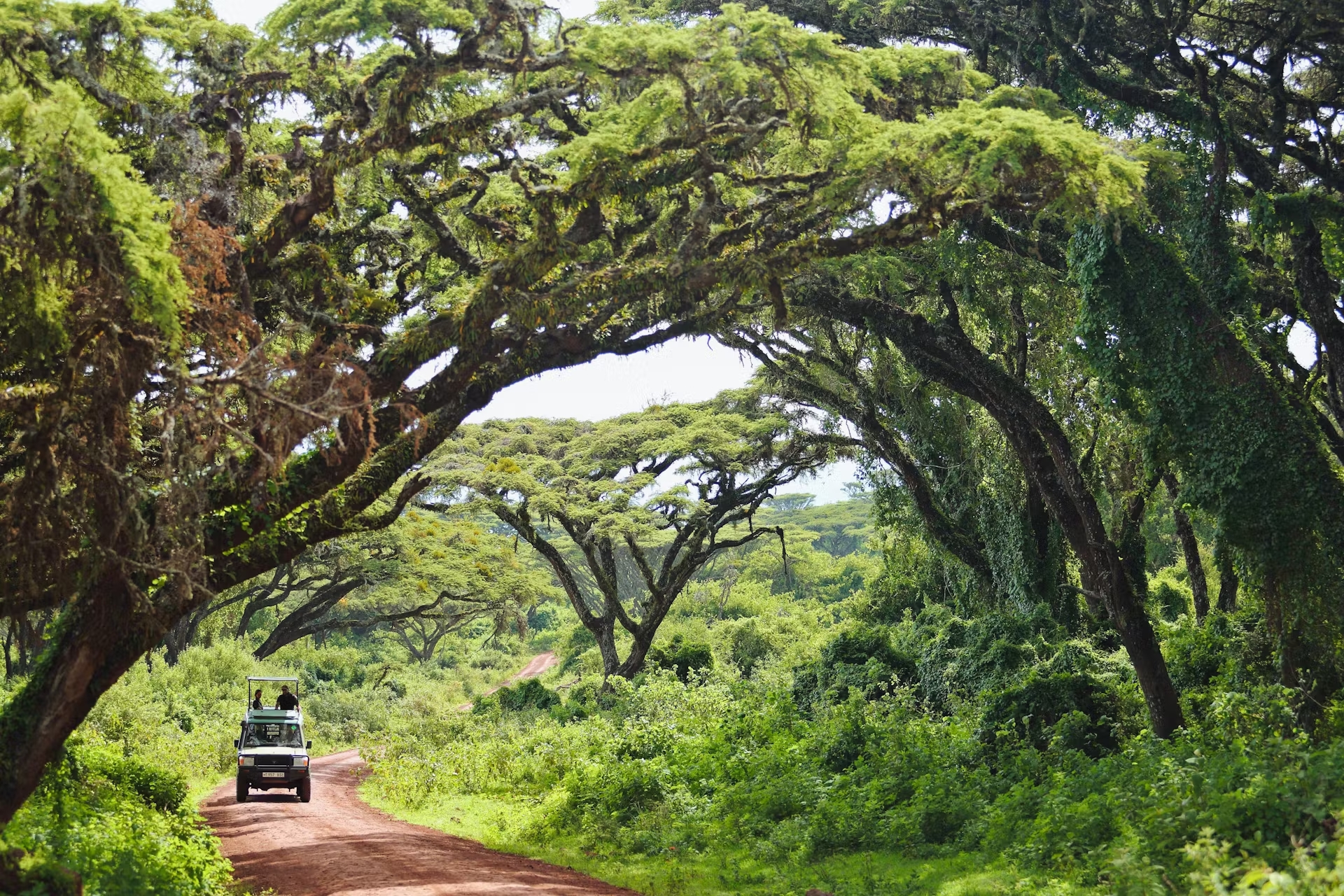 Ngorongoro Conservation Area