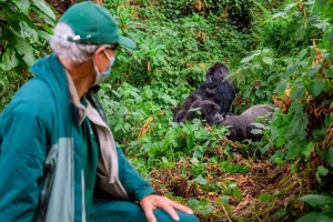 Rwanda Gorilla trekking permit Costs