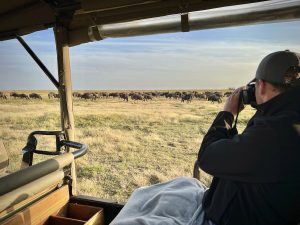 A Guide to Your First African Safari