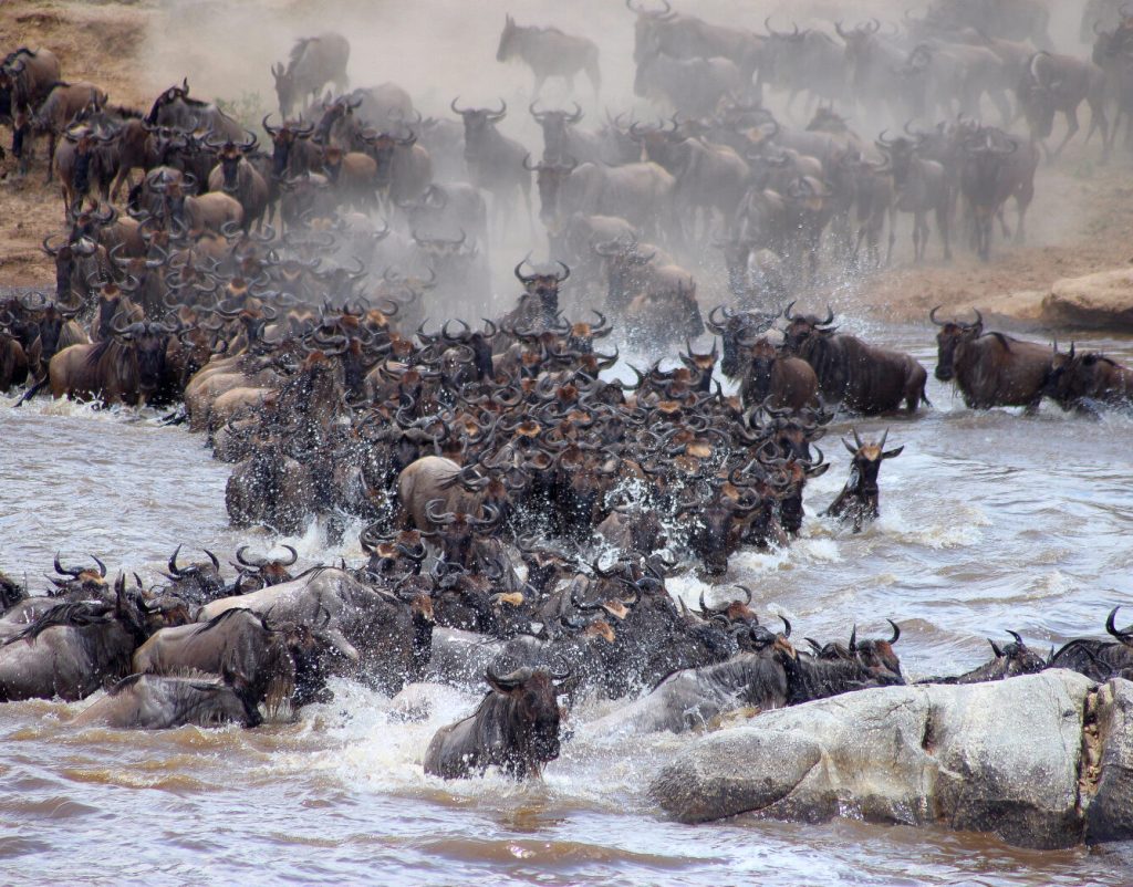 Crossing river