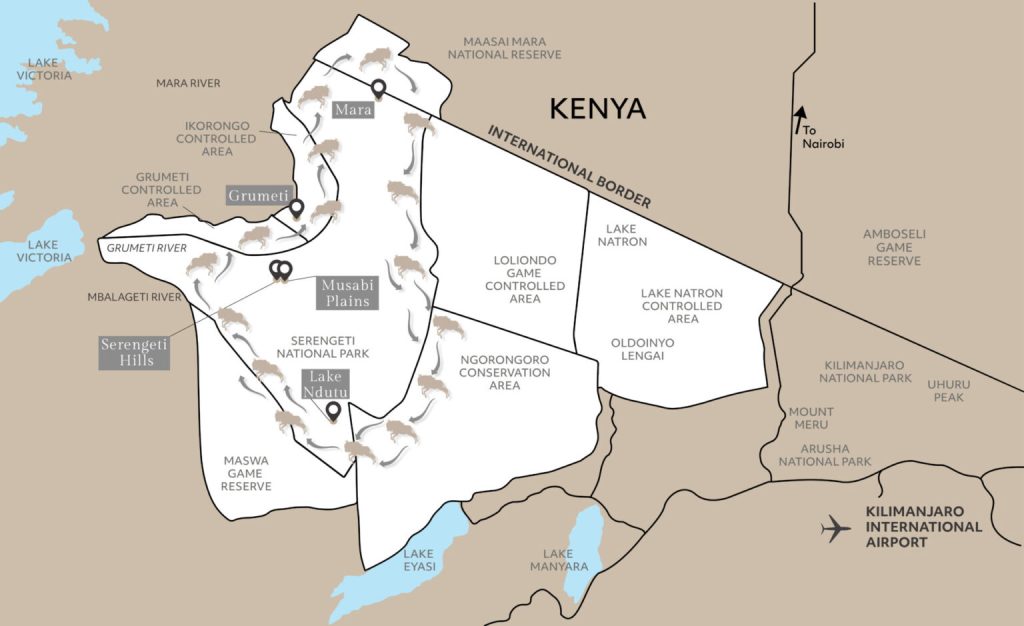Wildebeest Migration Map