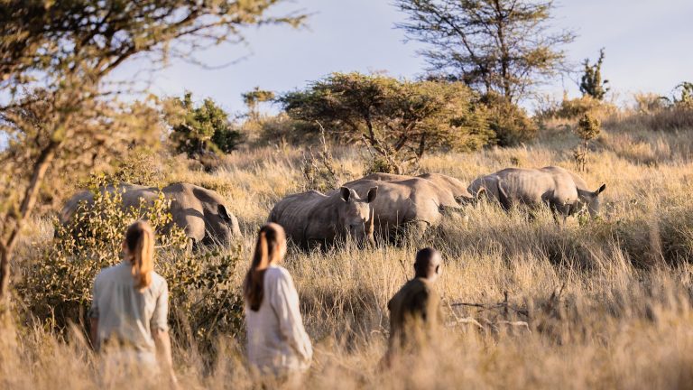 10 Days Best of Kenya Safari