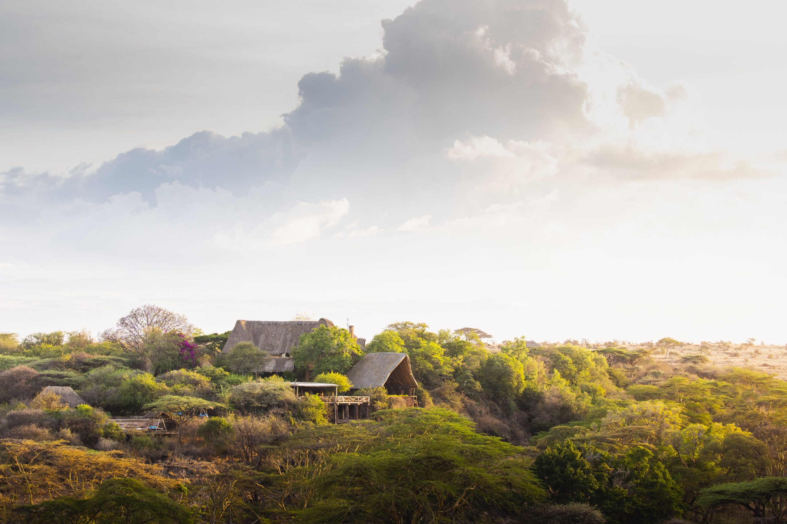 Lewa Wilderness Lodge