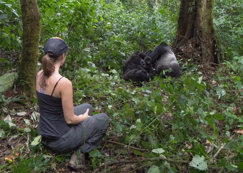 Minimum age for gorilla tracking