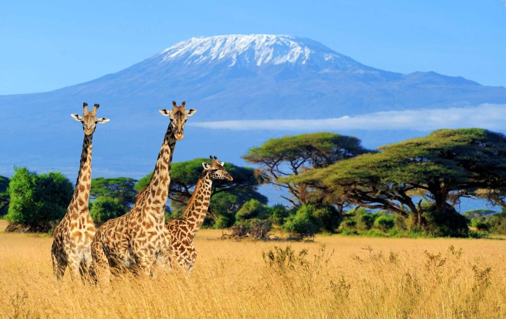 Mount Kilimanjaro, Tanzania