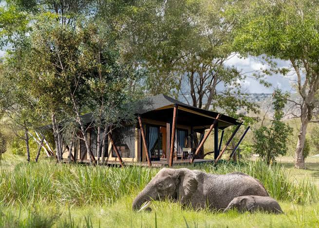 Wilderness Mara with elephants