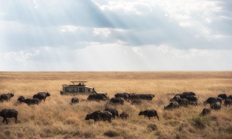 3 Days Serengeti Fly-in Safari
