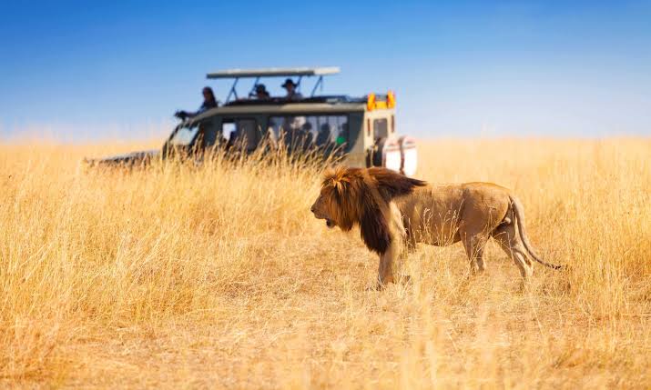 5 Days Tanzania Safari Big Five Adventure