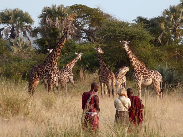 5 Days Tanzania Walking Safari