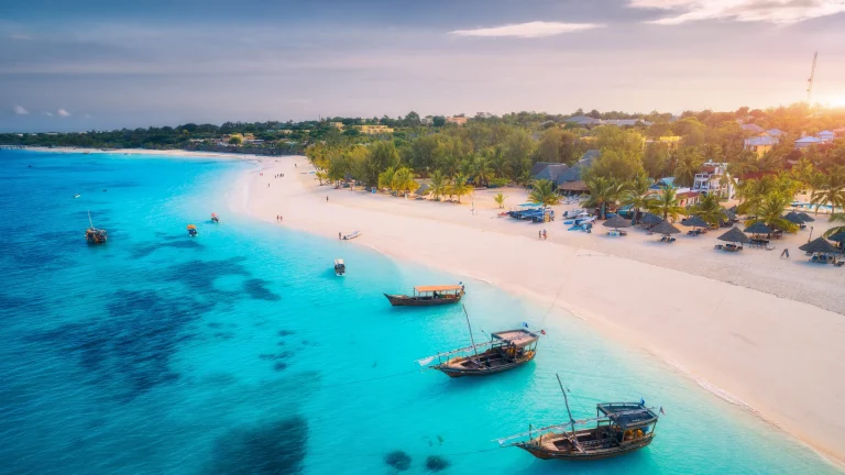 7 Days Tanzania Safari and Zanzibar Tour - Beach Escape