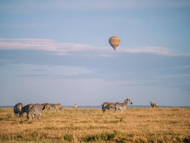9 Days Kenya Safari - Laikipia, Samburu & Masai Mara Tour