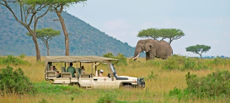 5 Days Kenya Safari Tour