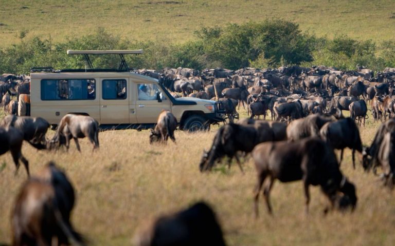 9 Days Kenya and Tanzania Wildebeest Migration Safari